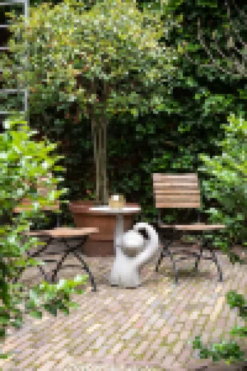 De Witte Lelie