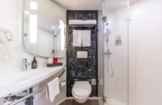 Ibis Hotel (Guangzhou Yuexiu Park Metro Station)