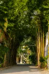 My Dream Boutique Resort - Mountain view