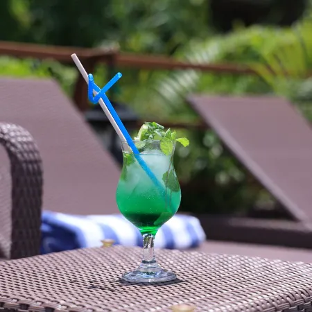 Royal Tiger Luxury Resort
