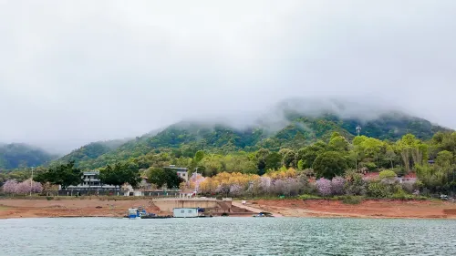 Huyun Shanju Homestay