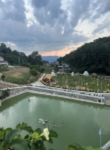 梧桐山星空民宿