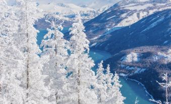 Senmai Designer Coffee Homestay (Kanas Scenic Area Branch)