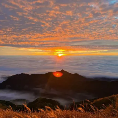 Wugong Mountain Wild Homestays
