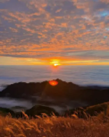 Wugong Mountain Wild Homestays