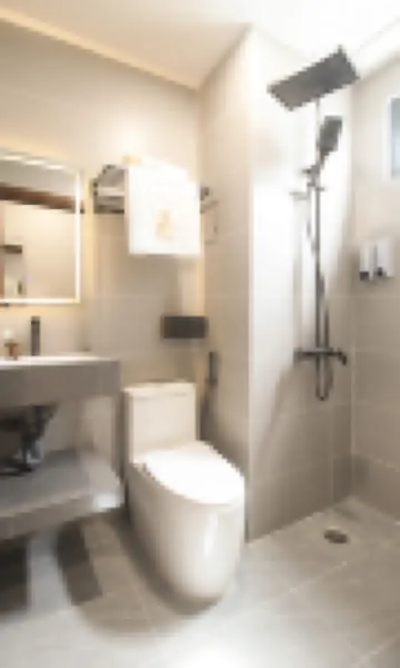 胡志明市一區德露斯托拉飯店及公寓