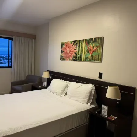 Hotel viste river Amazonas