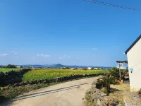 daldalhanbam 牛島(ウド)周辺のホテル