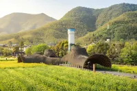 Bory Hotel - Scenic