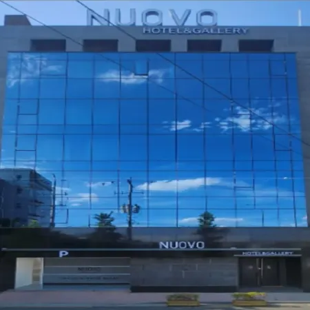 Nuovo Hotel Daegu Seongseo