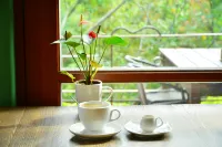 暖香屋·Meet陽光小院美宿（特克斯八卦城店）