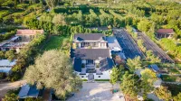 Rizhao Manggu Yunlu Song-style Ancient Courtyard Boutique Stay (Youyou Valley Campground Park) - Mountain view