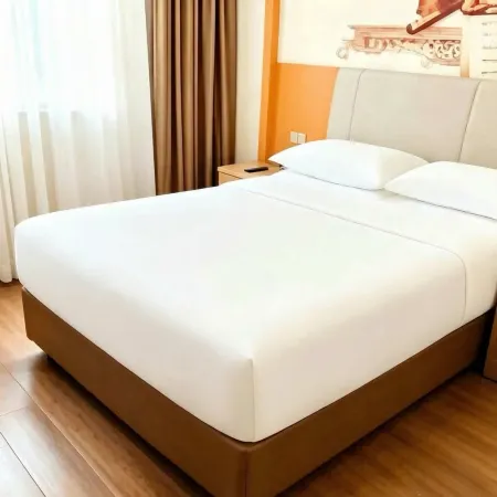 Vienna Hotel (Leping Municipal Government)