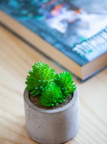 รูปภาพของโรงแรม เดอะ เลค ฉลอง