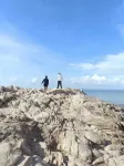 Ocean Breeze Homestay - Beach