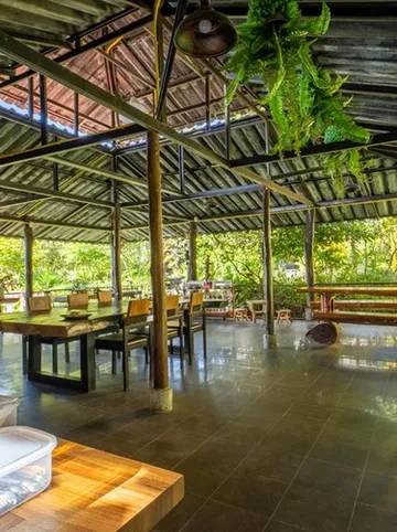 รูปภาพของนกขมิ้นโฮม เชียงดาว