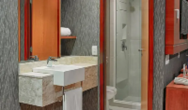 Wyndham Sao Paulo Ibirapuera Convention Plaza Hotel Hotels in Sao Paulo