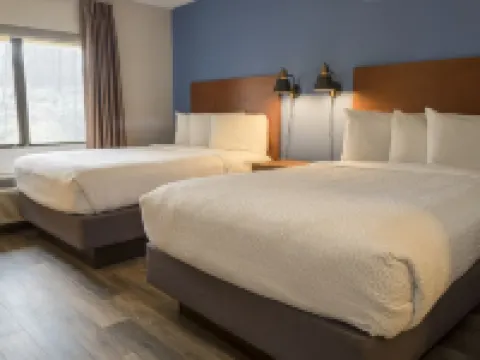 Hotel Focus SFO Hotel di San Mateo County