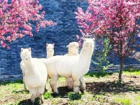 長白山靜雅小墅 鄰近紅豐村的酒店