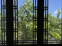 Lijiang Ancient City Xishan Tea House Inn - 3-نجوم