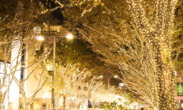 Hotel Allamanda Aoyama Tokyo