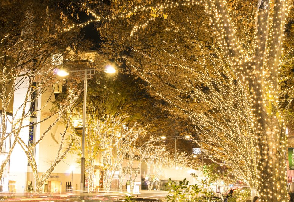 Hotel Aoyama Over view