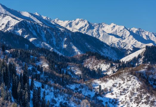 1. Oi-콰라가이 ..