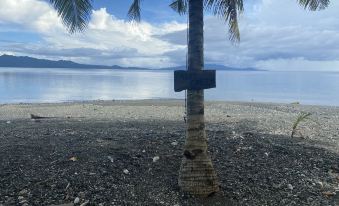 2. Palm Cre..