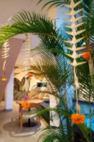 كوكو آند باينابل بانتس هوستل