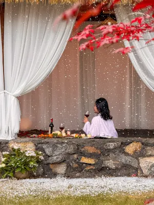 Tranquil Maple Residence Embracing Nature View Resort Hotel di 