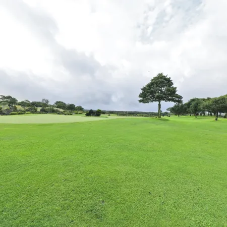 JEJU RAON GOLF CLUB VILLAGE Отели рядом с достопримечательностью «Ботанический сад Панлимвон»