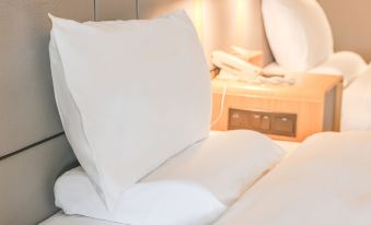 JI Hotel (Shanghai Jinshajiang Road)