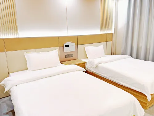 Lvcheng Boutique Oxygen-enriched Hotel (Zhufeng Town) Hotels in Tingri