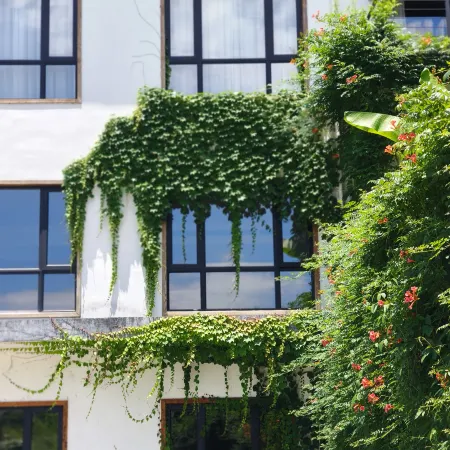 Moyinju Huashu Hotel