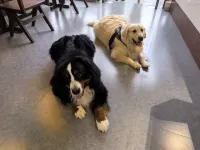 Chunshui Homestay (Shuanglong Town)