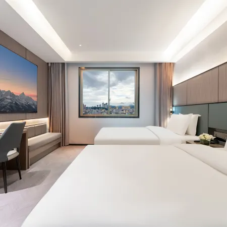 Pujiang Vshe Hotel (People's Square)