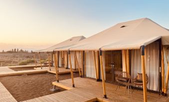 Kumutage Desert Dune Sandhill Starry Sky Homestay