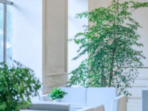 雲朵インターナショナルホテル 瀘県 瀘県のホテル