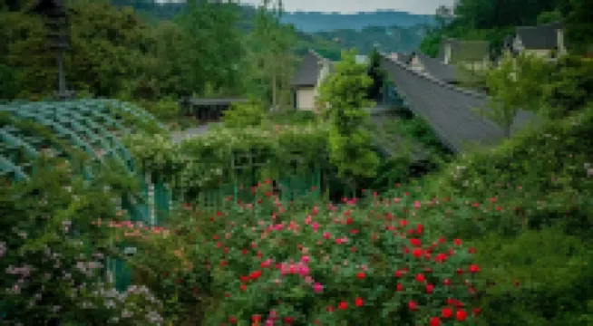 雅安十里芳菲·野玫瑰温泉村落