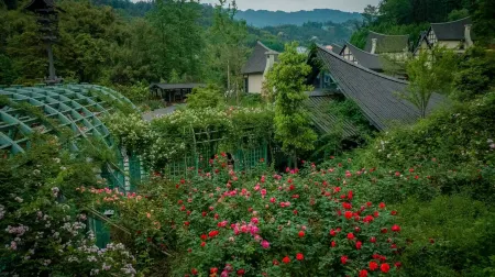 AlorValley Отели в г. Яань