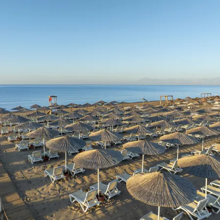 The X Belek