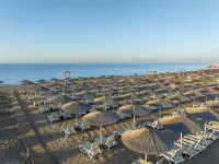 The X Belek - Ylellinen