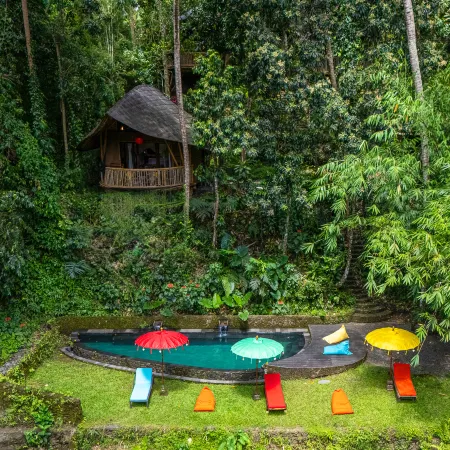 Bamboo Turtles Ecolodge