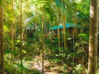 Narrows Escape Rainforest Retreat