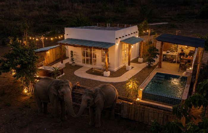 Elephant pool villa maetang chiangmai
