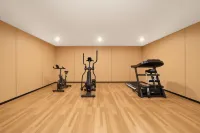Xinxiang Grand Hotel (DL Pangdonglai Life Plaza Erpang) - gimnasio
