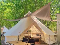 Bamboo Forest Wonderland