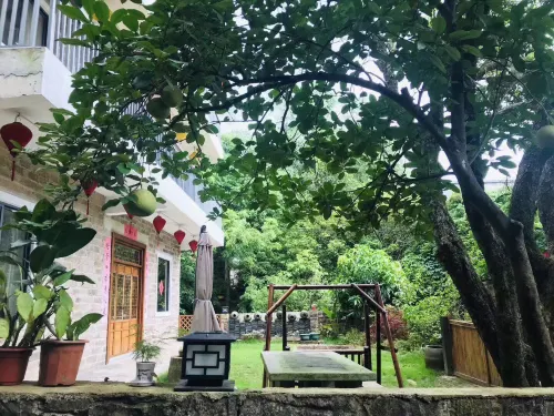 Dongxing Mountain House Homestay - Mountain View