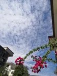 Hongpao Courtyard Hotel in zona Wuyishan Drift