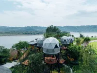 樹蛙部落（瀘州店）